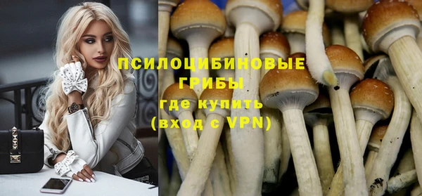 прущая мука Корсаков